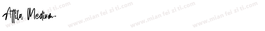 Attila Medium字体转换